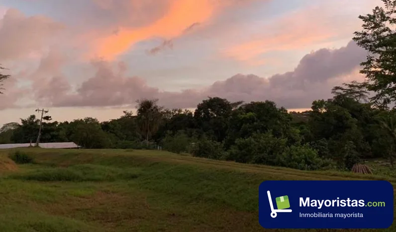 Finca ganadera de 50 ha en Villanueva, Bolívar