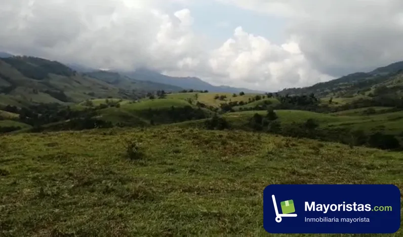 Finca ganadera de 400 ha en Mogotes, Santander