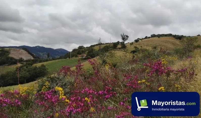 Finca ganadera de 3 ha en Carmen de Carupa, Cundinamarca