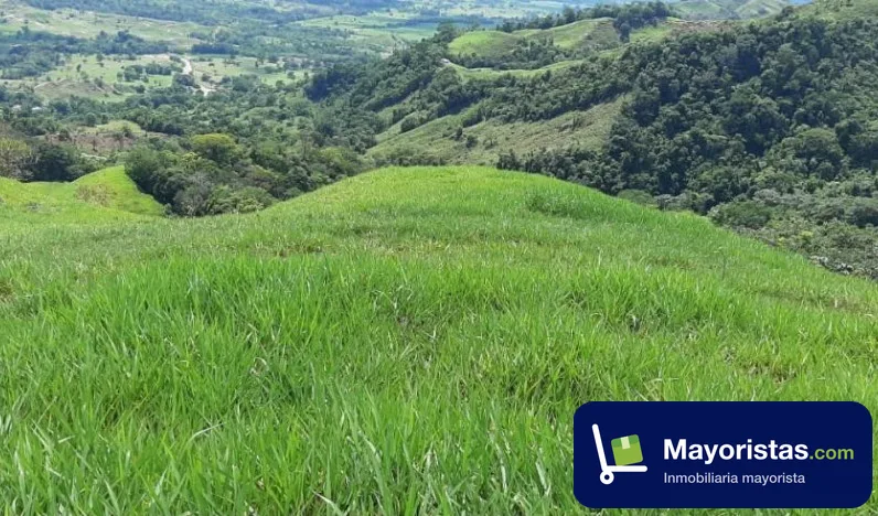 Finca ganadera de 127 ha en Puerto Boyacá, Boyacá