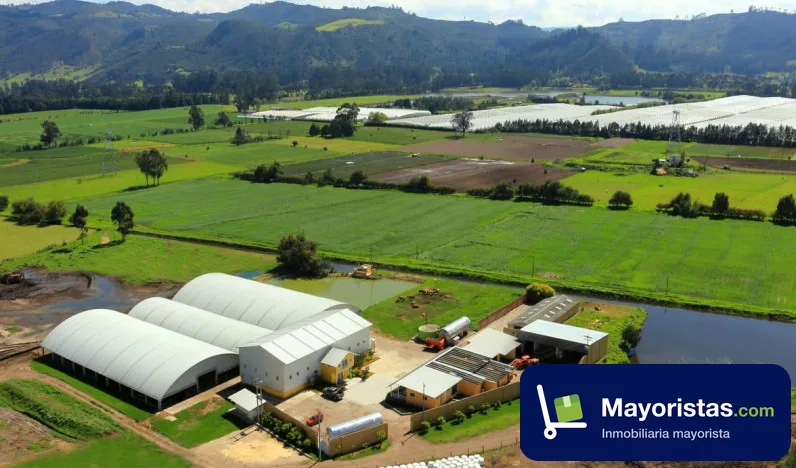 Finca ganadera de 64 ha en El Rosal, Cundinamarca
