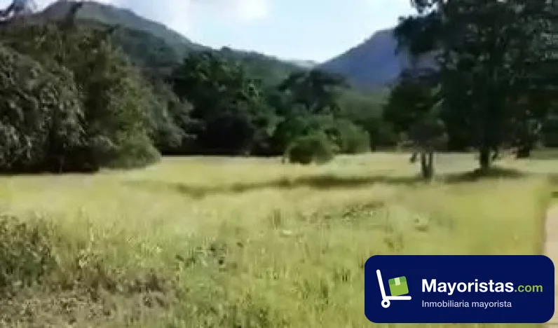 Finca ganadera de 160 ha en Honda, Tolima
