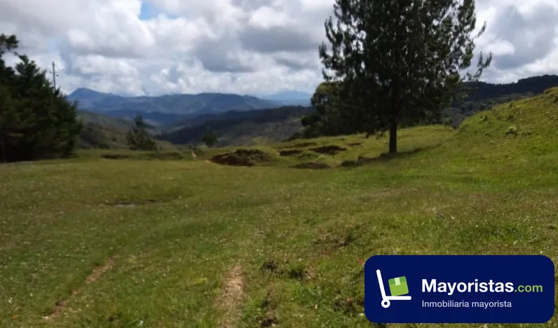 Finca ganadera de 300 ha en Angostura, Antioquia
