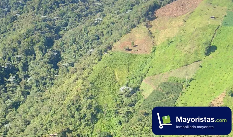 Finca ganadera de 4,5 ha en Jardín, Antioquia