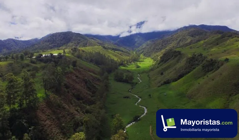 Finca ganadera de 1.000 ha en Abriaquí, Antioquia