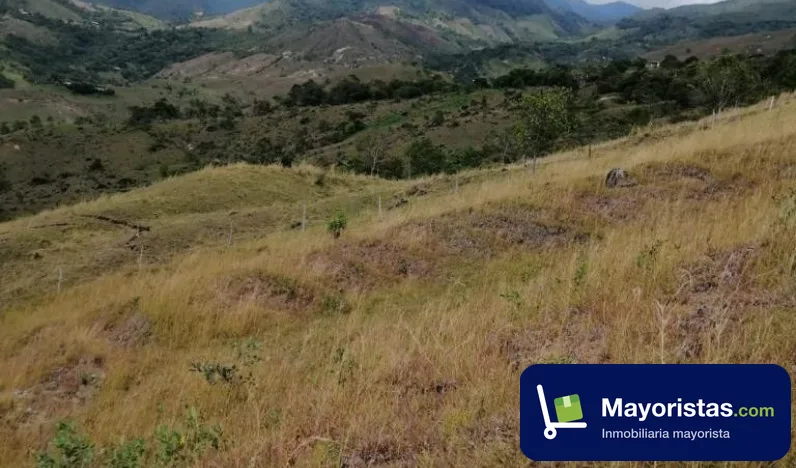 Finca ganadera de 192 ha en Anzá, Antioquia