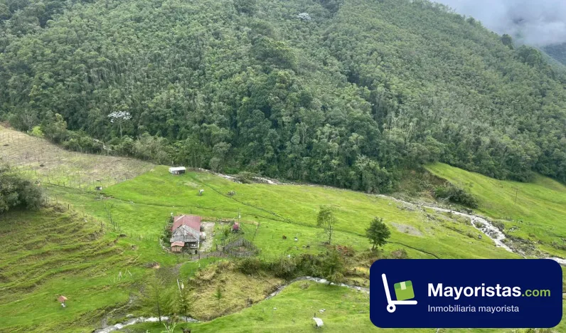 Finca ganadera de 100 ha en Caicedo, Antioquia