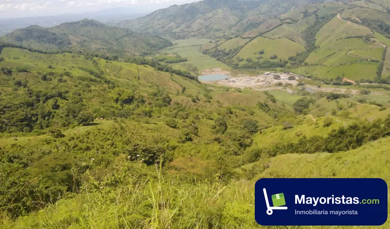 Finca ganadera de 128 ha en Viterbo, Caldas