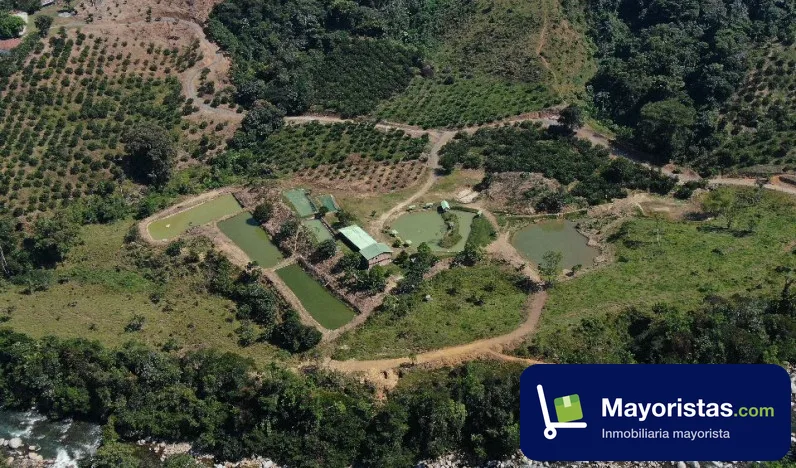 Finca ganadera de 100 ha en Cocorná, Antioquia