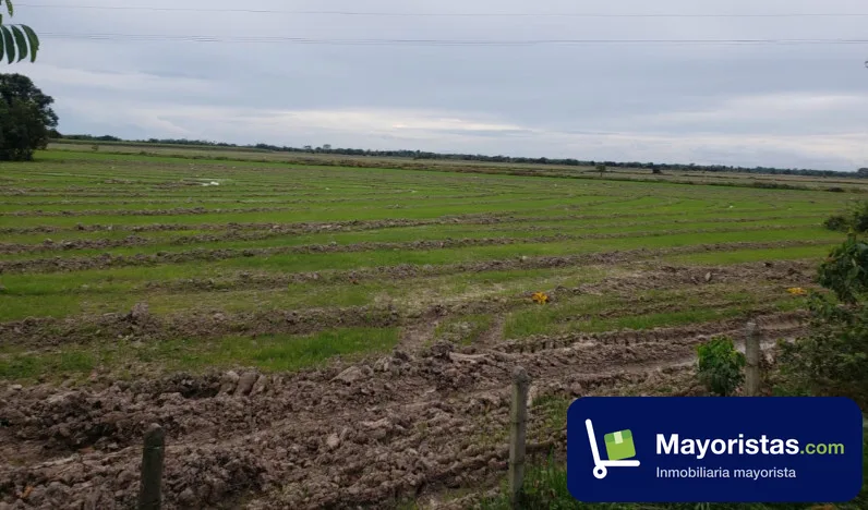 Finca agrícola de 85 ha en Castilla La Nueva, Meta