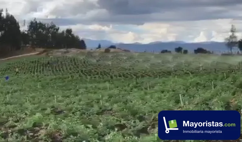 Finca agrícola de 6,4 ha en Iza, Boyacá