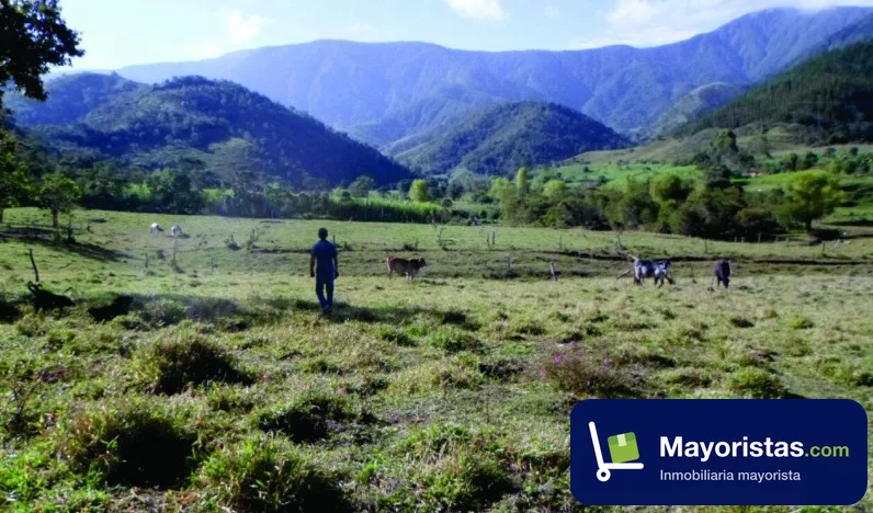 Finca cafetera de 189 ha en Mogotes, Santander