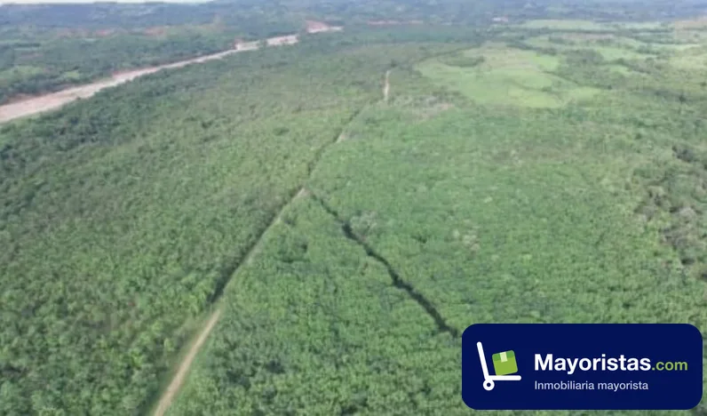 Finca ganadera de 255 ha en Monterrey, Casanare