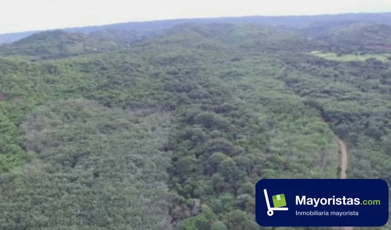 Finca ganadera de 255 ha en Monterrey, Casanare — foto 9 de 10