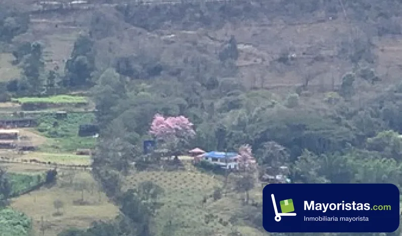 Finca cafetera de 4,5 ha en Guateque, Boyacá