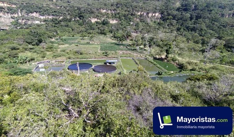 Finca agrícola de 0,8 ha en Barichara, Santander