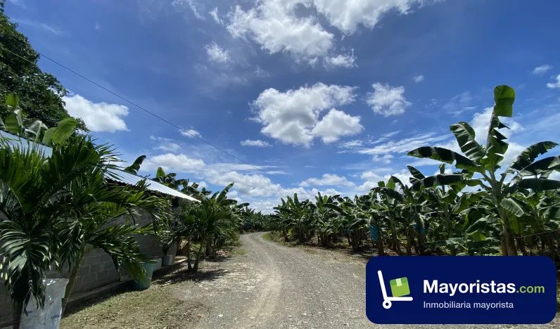 Finca agrícola de 201 ha en Apartadó, Antioquia