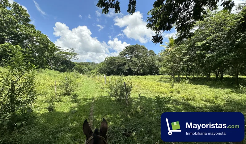 Finca ganadera de 247 ha en Sahagún, Córdoba