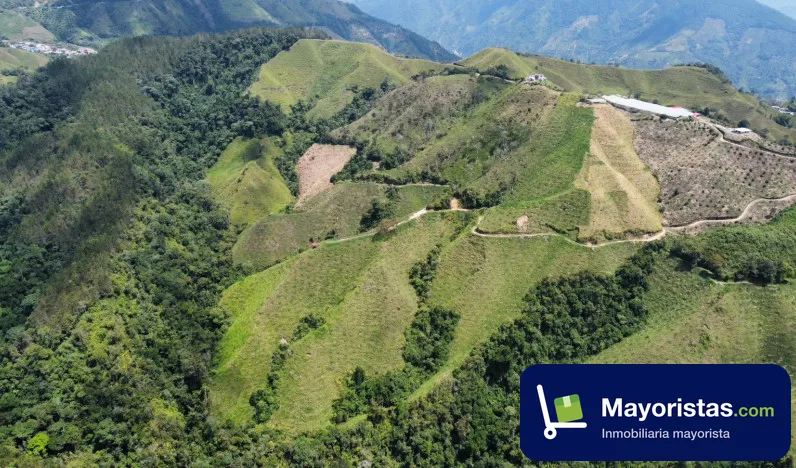 Finca agrícola de 22 ha en Fresno, Tolima