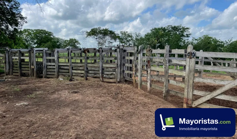 Finca ganadera de 46 ha en Planeta Rica, Córdoba — foto 10 de 10