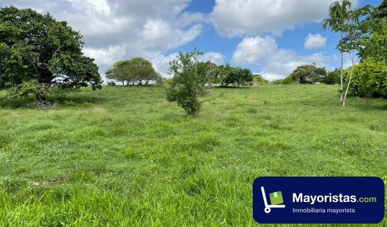 Finca ganadera de 46 ha en Planeta Rica, Córdoba — foto 9 de 10