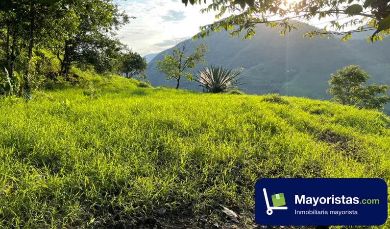 Finca ganadera de 32 ha en Victoria, Caldas