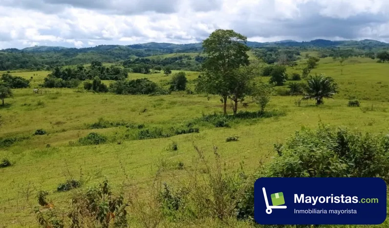 Finca ganadera de 29 ha en Puerto Libertador, Córdoba