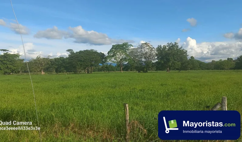 Finca ganadera de 250 ha en Puerto Boyacá, Boyacá