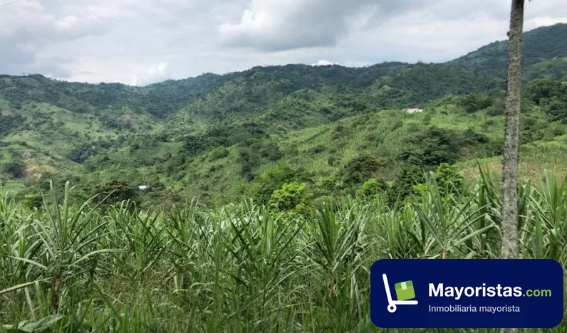 Finca agrícola de 2,6 ha en Villeta, Cundinamarca