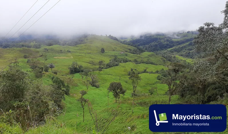 Finca ganadera de 53 ha en Pacho, Cundinamarca — foto 9 de 10