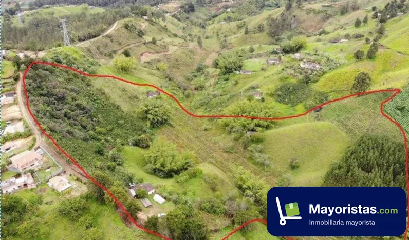 Finca cafetera de 5 ha en El Peñol, Antioquia