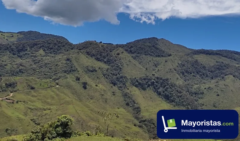 Finca ganadera de 300 ha en Yarumal, Antioquia