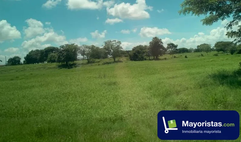Finca ganadera de 69 ha en San Estanislao, Bolívar