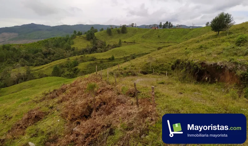 Finca ganadera de 27 ha en Yarumal, Antioquia — foto 9 de 9