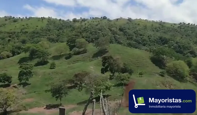 Finca ganadera de 240 ha en Caparrapí, Cundinamarca — foto 10 de 10