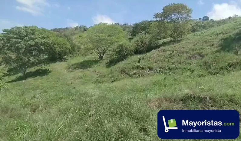 Finca ganadera de 240 ha en Caparrapí, Cundinamarca — foto 9 de 10