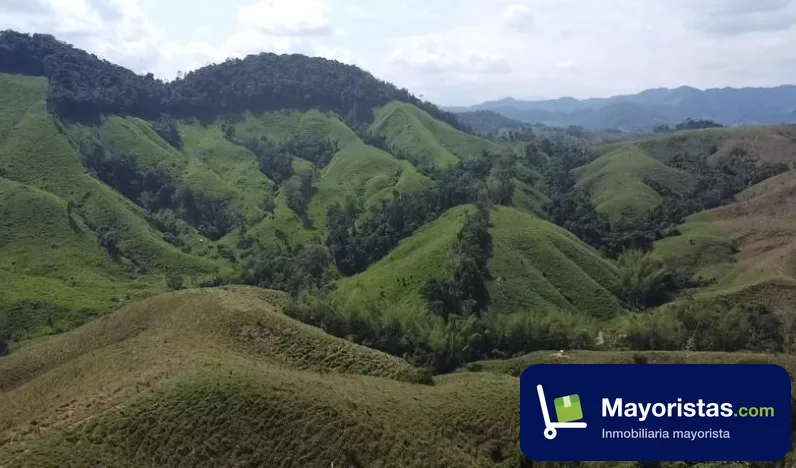 Finca ganadera de 250 ha en San Carlos, Antioquia
