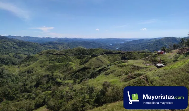 Finca ganadera de 33 ha en Alejandría, Antioquia