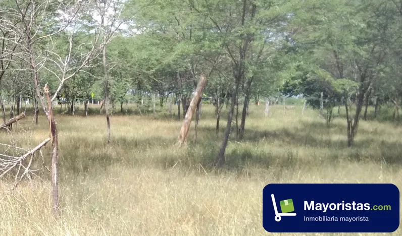 Finca ganadera de 280 ha en San Juan de Río Seco, Cundinamarca — foto 10 de 10