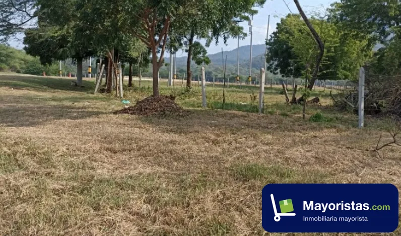 Finca ganadera de 280 ha en San Juan de Río Seco, Cundinamarca — foto 9 de 10
