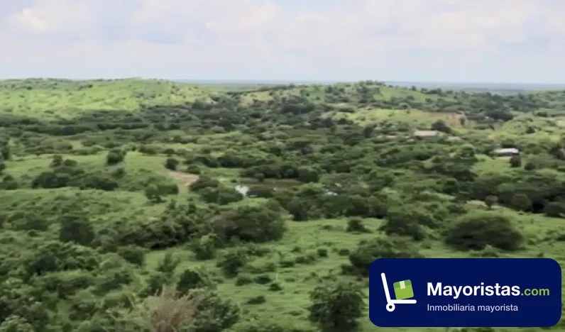 Finca ganadera de 278 ha en Baranoa, Atlántico