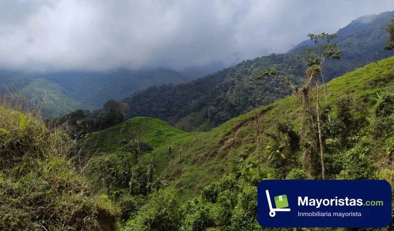 Finca ganadera de 154 ha en Nariño, Antioquia