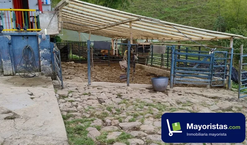 Finca ganadera de 154 ha en Nariño, Antioquia — foto 9 de 10