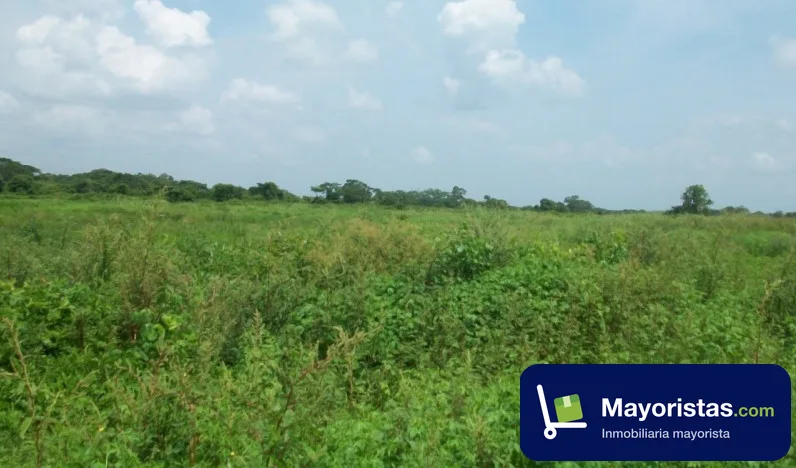 Finca agrícola de 1.300 ha en Puebloviejo, Magdalena