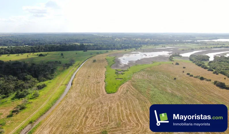 Finca ganadera de 300 ha en Puerto López, Meta