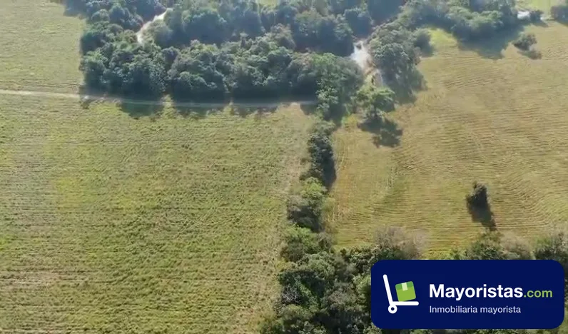 Finca ganadera de 300 ha en Puerto López, Meta — foto 10 de 10