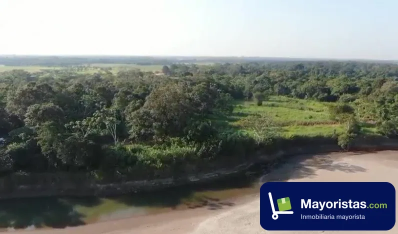 Finca ganadera de 300 ha en Puerto López, Meta — foto 9 de 10