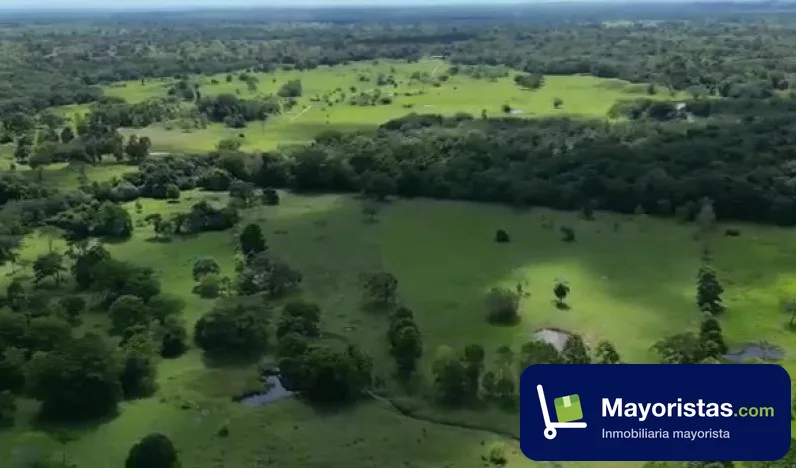 Finca ganadera de 650 ha en Puerto Boyacá, Boyacá