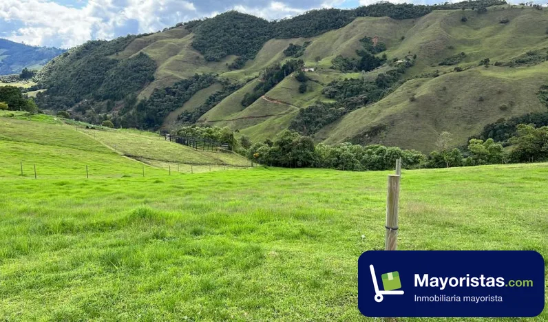 Finca ganadera de 3,7 ha en La Unión, Antioquia