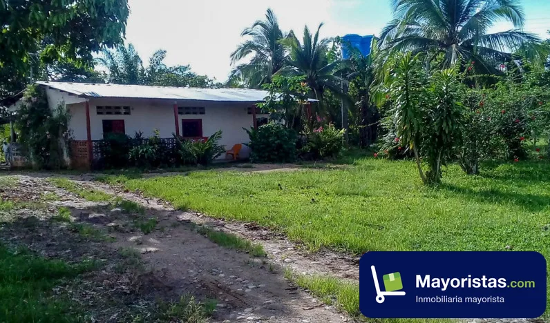 Finca ganadera de 200 ha en Belén de Los Andaquies, Caquetá — foto 9 de 9